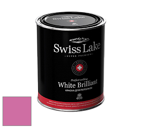 Swiss Lake White Brilliant глубокоматовая краска цвет NCS S 1060-R30B 
