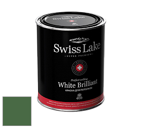 Swiss Lake White Brilliant глубокоматовая краска цвет NCS S 5040-G20Y
