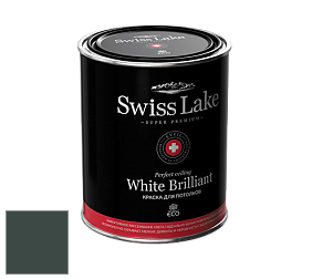 Swiss Lake White Brilliant глубокоматовая краска цвет NCS S 8010-B90G