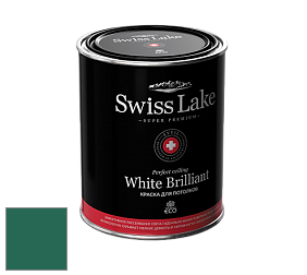 Swiss Lake White Brilliant глубокоматовая краска цвет NCS S 5040-B90G