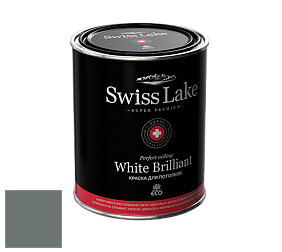 Swiss Lake White Brilliant глубокоматовая краска цвет NCS S 6005-G