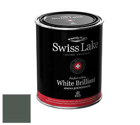 Swiss Lake White Brilliant глубокоматовая краска цвет SL-2649 Welsh slate