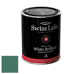 Swiss Lake White Brilliant глубокоматовая краска цвет NCS S 5030-B90G