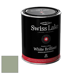 Swiss Lake White Brilliant глубокоматовая краска цвет SL-2638 Frosty green