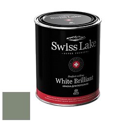 Swiss Lake White Brilliant глубокоматовая краска цвет RAL 7033