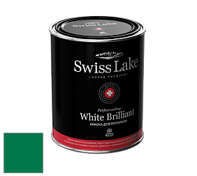Swiss Lake White Brilliant глубокоматовая краска цвет NCS S 3560-G 