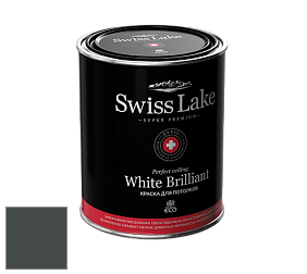 Swiss Lake White Brilliant глубокоматовая краска цвет NCS S 8005-G 