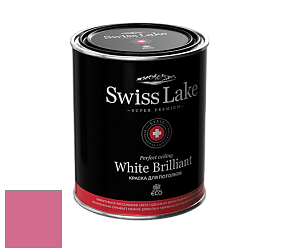 Swiss Lake White Brilliant глубокоматовая краска цвет NCS S 1060-R20B 