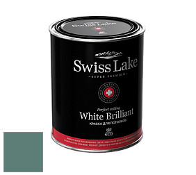 Swiss Lake White Brilliant глубокоматовая краска цвет NC35-0777 Bottle glass
