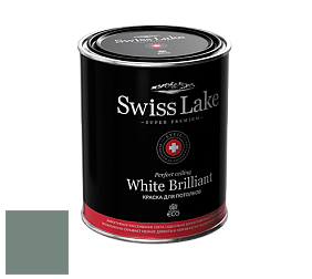 Swiss Lake White Brilliant глубокоматовая краска цвет NCS S 5010-B90G