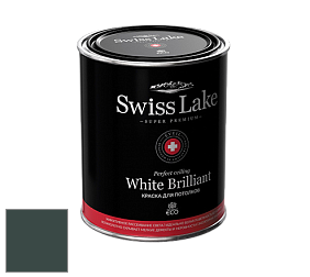 Swiss Lake White Brilliant глубокоматовая краска цвет NCS S 8010-B70G