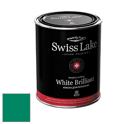 Swiss Lake White Brilliant глубокоматовая краска цвет NCS S 3060-B90G 