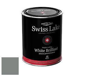 Swiss Lake White Brilliant глубокоматовая краска цвет NCS S 5005-G 