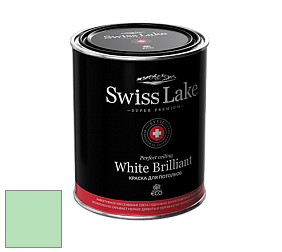 Swiss Lake White Brilliant глубокоматовая краска цвет NCS S 0530-G10Y 