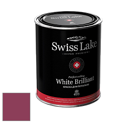 Swiss Lake White Brilliant глубокоматовая краска цвет NCS S 3060-R20B 
