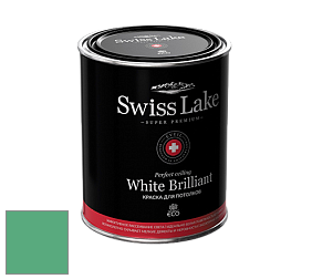 Swiss Lake White Brilliant глубокоматовая краска цвет NCS S 2050-G 