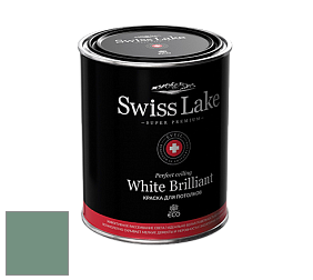 Swiss Lake White Brilliant глубокоматовая краска цвет NCS S 4020-G 