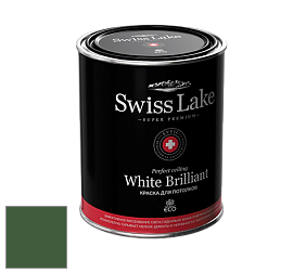 Swiss Lake White Brilliant глубокоматовая краска цвет NCS S 5540-G20Y