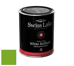 Swiss Lake White Brilliant глубокоматовая краска цвет NCS S 1080-G30Y 