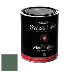 Swiss Lake White Brilliant глубокоматовая краска цвет NCS S 6020-G10Y 