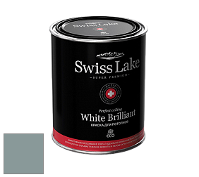 Swiss Lake White Brilliant глубокоматовая краска цвет NCS S 4010-B50G 