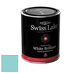Swiss Lake White Brilliant глубокоматовая краска цвет NCS S 1030-B40G 