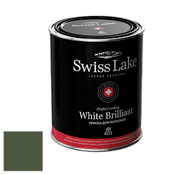 Swiss Lake White Brilliant глубокоматовая краска цвет RAL 6003
