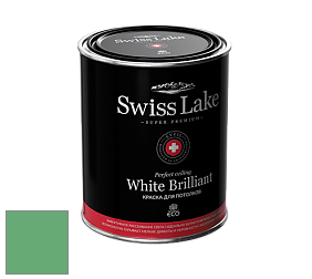 Swiss Lake White Brilliant глубокоматовая краска цвет NCS S 2050-G10Y 