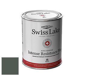 Swiss Lake Intense Resistance Plus глубокоматовая водно-дисперсионная краска цвет SL-2649 Welsh slate