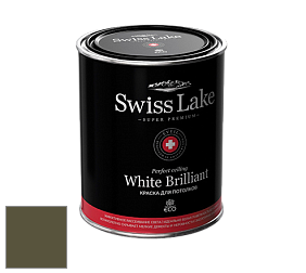 Swiss Lake White Brilliant глубокоматовая краска цвет NCS S 7020-G70Y