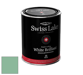 Swiss Lake White Brilliant глубокоматовая краска цвет NCS S 2030-G 