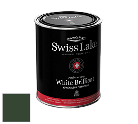 Swiss Lake White Brilliant глубокоматовая краска цвет RAL 6020