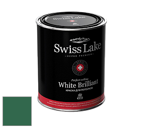 Swiss Lake White Brilliant глубокоматовая краска цвет NCS S 5040-G 