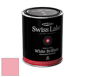 Swiss Lake White Brilliant глубокоматовая краска цвет NCS S 0540-R10B 
