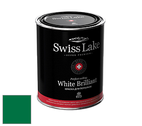 Swiss Lake White Brilliant глубокоматовая краска цвет RAL 6029