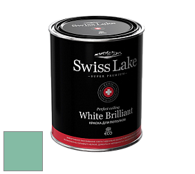 Swiss Lake White Brilliant глубокоматовая краска цвет NCS S 2030-B90G 