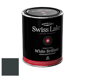 Swiss Lake White Brilliant глубокоматовая краска цвет NCS S 8505-B50G 