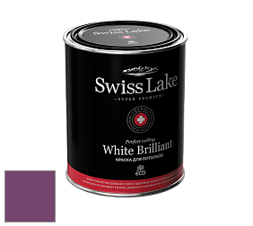 Swiss Lake White Brilliant глубокоматовая краска цвет NCS S 4050-R40B 