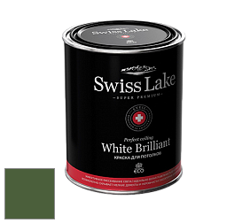 Swiss Lake White Brilliant глубокоматовая краска цвет NCS S 5540-G30Y