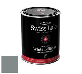 Swiss Lake White Brilliant глубокоматовая краска цвет NCS S 5005-B80G