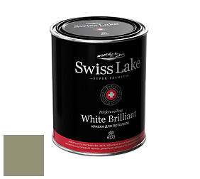 Swiss Lake White Brilliant глубокоматовая краска цвет RAL 7034 