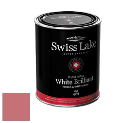 Swiss Lake White Brilliant глубокоматовая краска цвет NCS S 2050-R 