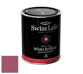 Swiss Lake White Brilliant глубокоматовая краска цвет NCS S 3050-R20B 