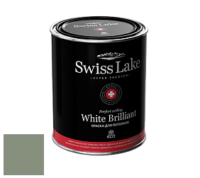 Swiss Lake White Brilliant глубокоматовая краска цвет NC36-0801 Patina