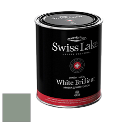 Swiss Lake White Brilliant глубокоматовая краска цвет SL-2641 Silver green