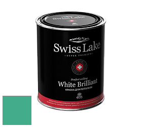 Swiss Lake White Brilliant глубокоматовая краска цвет NCS S 2050-B90G 