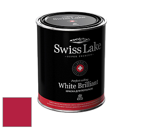 Swiss Lake White Brilliant глубокоматовая краска цвет RAL 3027 