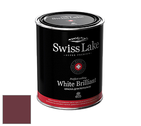 Swiss Lake White Brilliant глубокоматовая краска цвет NCS S 5040-R10B