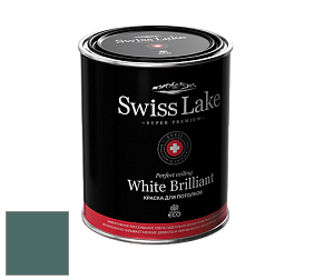 Swiss Lake White Brilliant глубокоматовая краска цвет NCS S 6020-B70G