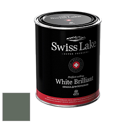 Swiss Lake White Brilliant глубокоматовая краска цвет SL-2648 Dark olive
